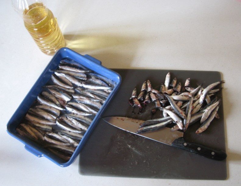 boquerones_smelts