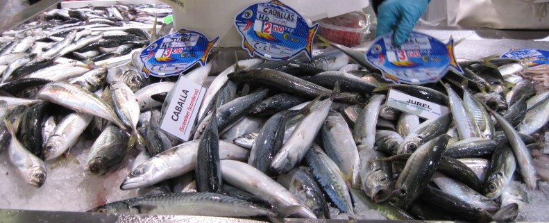 jacks_and_mackerel_jureles_y_caballas