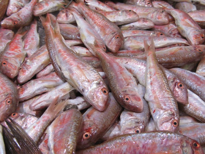 red_mullet_salmonetes