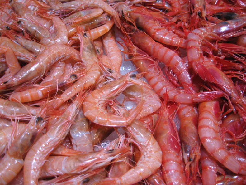 prawns_gambas