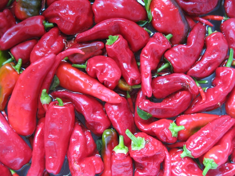 chillies