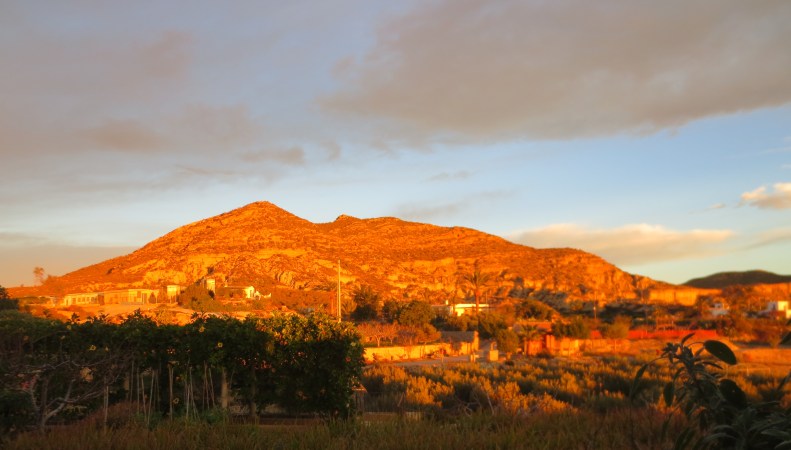 Early morning sun viewed from my kitchen terrace